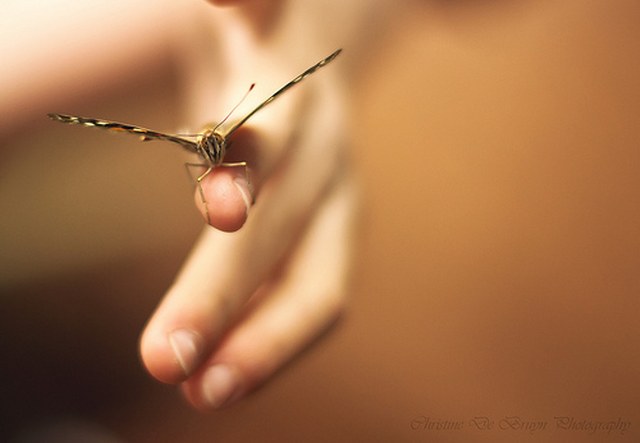 批量发送短信的平台